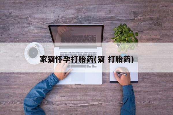 网上卖打胎药的微信号家猫怀孕打胎药(猫 打胎药)